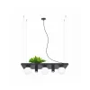 Люстра Zuma Line 5555 Shelf E14+GU10 5x10W IP20 Чорна