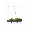 Люстра Zuma Line 5555 Shelf E14+GU10 5x10W IP20 Чорна