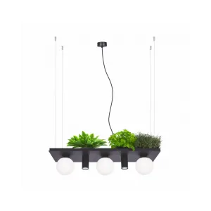 Люстра Zuma Line 5555 Shelf E14+GU10 5x10W IP20 Чорна