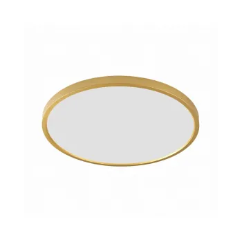Світильник стельовий Zuma Line WM-BP1108-L-G Cami Led 1x48W 3000K/4000K/6000K 4297Lm IP20