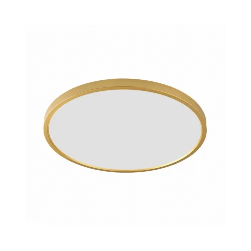 Світильник стельовий Zuma Line WM-BP1108-L-G Cami Led 1x48W 3000K/4000K/6000K 4297Lm IP20