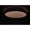 RING матовий 60W 395*60мм 3000К-6500К з ДК бронзовий