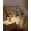 Настільна лампа Goldlux Simply 328007