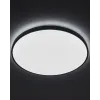 Світильник стельовий Nowodvorski 10974 Agnes Round LED Pro 1x32W 4000K 2700Lm IP44 чорний