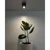 Точковий світильник Goldlux Xeno 325396