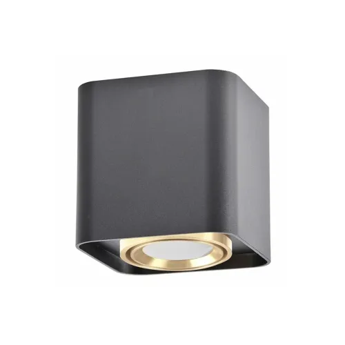 Точковий світильник Goldlux Xeno 325396