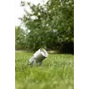 Світильник вуличний Markslojd 107713 GARDEN 24