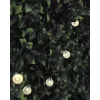 Вуличний світильники Goldlux Balls 315236