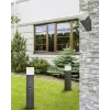 Вуличний світильники Goldlux New York 307316