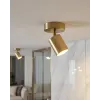Спот Goldlux Goldi 327253
