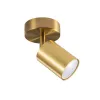 Спот Goldlux Goldi 327253