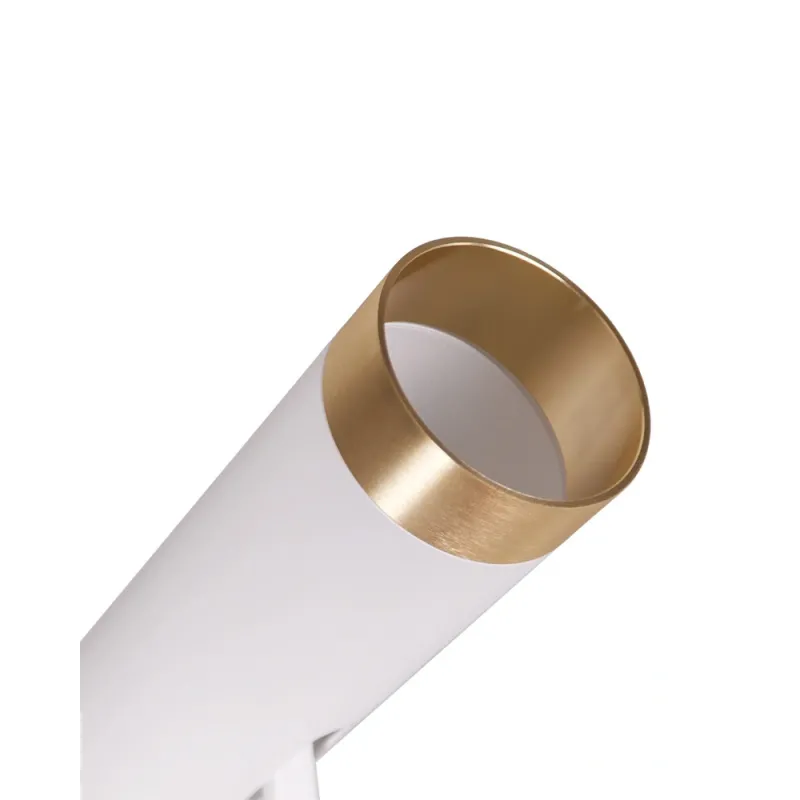 Спот Goldlux Fado 326539